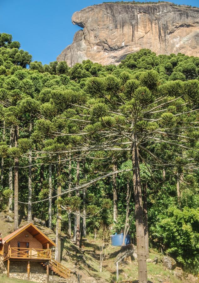 Chales Araucaria E Manaca ساو بينتو دو سابوكاي المظهر الخارجي الصورة